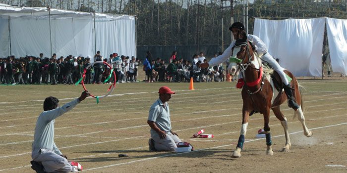 Enjoy The Thrill Of National Level Horse Riding